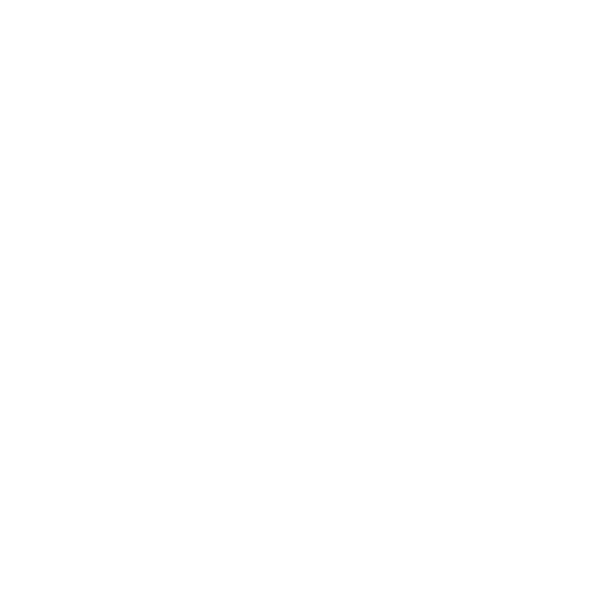 White nsa logo with stylized letters inside a burst of starburst lines on a dark green background.